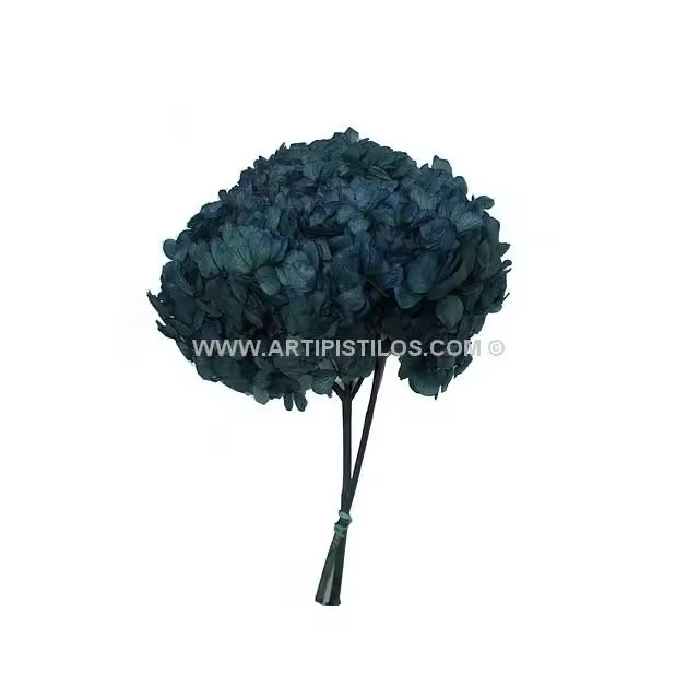 Flores Preservadas Hortensia Raíz - 100% Natural - Variedad de Colores - 1