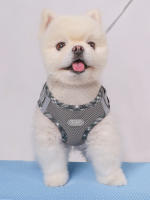 Alforja Para Perros Ajustable Anti-Pull Fácil De Controlar Para Pequeños Y Medianos Mascotas Material De Poliéster Blends - details 2