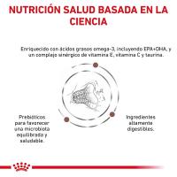 ROYAL CANIN GASTRO INTESTINAL FIBRE RESPONSE 2KG - details 3