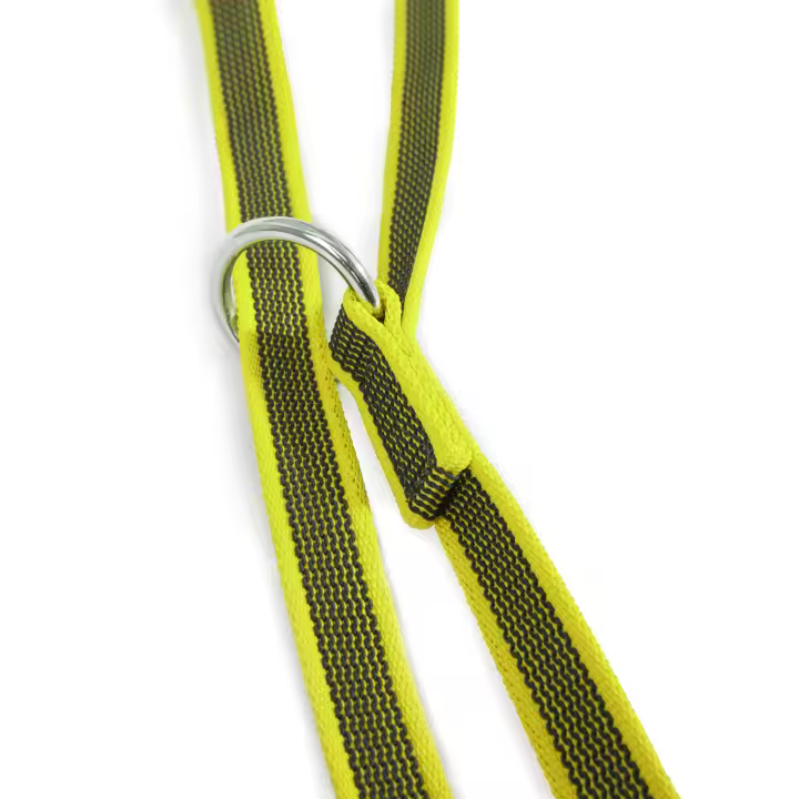 Correa Julius-K9 engomada Color&Gray antideslizante para adiestramiento de perros Platz K9 S.L. - 1