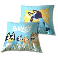 Bluey Cojín Estampado Infantil Tamaño 35x35cm - details 0
