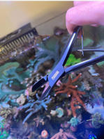 Tijeras De Coral VASTOCEAN Acero Inoxidable Para Tanque De Agua Salada Herramienta De Limpieza Para SPS Ramas Rotas - details 6