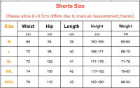 Shorts De Verano Para Hombre Quick Dry Deporte Running Fitness Básquetbol Outdoor Pantalones De Entrenamiento Sueltos Y Transpirables - details 0