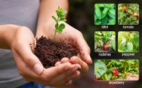 Juego De 2 Bandejas Para Germinación De Semillas Con Kit De Inicio De Semillas 80 Células Y 4 Luces De Crecimiento LED Con Temporizador Inteligente - details 5