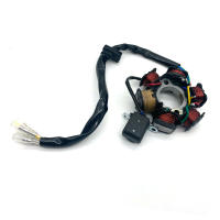 Ensamblaje Completo De Electrónica Para Motocicleta CDI Estator 6 Bobina Para ATV Quad Pit Bike Buggy Go Kart 50cc 70cc 110cc 125cc - details 5