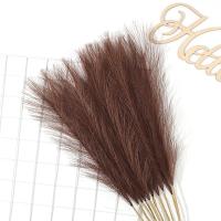 5/10Pcs Bouquet De Pampas Artificiales Flores De Reed Para Decoración De Hogar Jardín Boda Y Fiestas Internas Y Externas - details 24