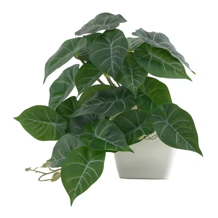1pc Plantas Artificiales Pequeñas Con Macetas De Plástico Decoración De Escritorio Para Oficina Y Hogar Ambiente Interior Y Exterior - 1