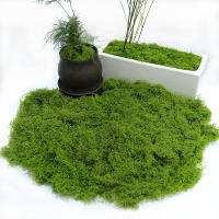 1PC DIY Hierba Artificial Verde Fresca Moss Para Jardín Terrariums Decoración De Centros De Mesa De Boda Micro Paisaje De Leno - details 12