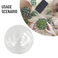 Micro Paisaje Vaso De Vidrio Transparente Para Plantas Succulentas Terrario Colgante Contenedor Hidroponía Maceta De Flores Decoración Para El Hogar Estilo Moderno - details 19