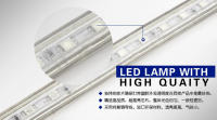 Tira LED Flexible RGB 5050 220V Luz Exterior Impermeable IP67 60leds/m Con Enchufe 5M/10M/15M Para Decoración De Hogar Y Jardín - details 13