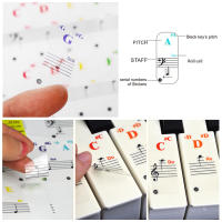 Pegatinas De Teclas De Piano Colores Transparentes Y Vibrantes Para Principiantes 15.5x40mm Adecuadas Para 88/61/49/37 Teclas Decoración Musical DIY - details 4