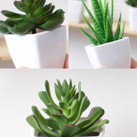 3 Macetas De Plantas Simuladas Pequeñas Para Decoración De Oficinas Salones De Estar Ventanas Jardines Y Courtyards - details 5