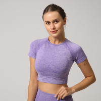 Camiseta De Yoga Sin Costuras Para Mujer Top Corto De Manga Fitness Ropa Deportiva Para Gimnasio Correr Sportswear Polyester Nylon Spandex - details 4