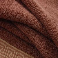 Toalla De Algodón Pura 70x140cm Bordada Para Adultos Secado Rápido Gruesa Suave Toalla De Rostro Absorbente De Técnica Tejida - details 2