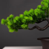 Planta De Pino Artificial De 27cm Bonsái Decoración De Mesa Para Hogar Y Habitaciones Arbol De Simulación De Landscape En Plástico Para Exposición Y Regalo - details 8