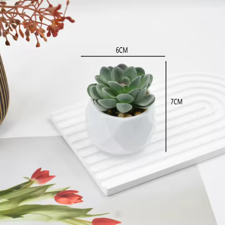 Plantas De Suculentas Artificiales En Macetas Decorativas Falsas De Espinosa Con Macetas Para Decoración Del Hogar Y Jardín - 1