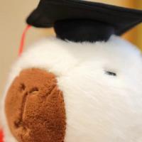 Doctor Hat Capybara De Peluche Muñeco De Peluche Suave Y Cálido Regalo De Graduación De Dibujos Animados Para Adultos Y Niños - details 12