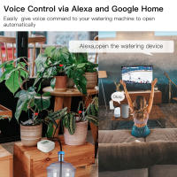 Máquina De Riego Inteligente WiFi Tuya Controlador De Sistema De Riego Por Drip Automático Para Plantas Compatible Con Alexa Y Google - details 9