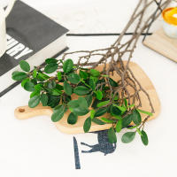 Arboleta De Planta Artificial Verde En Plástico Para Decoración De Navidad Y Bodas Disponible Para Adornos De Sala De Estar Accesorios De Fiesta - details 5