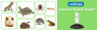 Nobleza - Alimentador Automático de Reptiles Cuenco de Agua y Comida para Reptiles Bandeja de Agua de Reptiles Dispensador de Agua de Tortuga con Botella - details 2