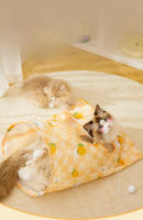 Túnel Para Gatos Juguete Interactivo Pequeño Animal Juguetes Para Juego Puzzle Ejercicio Ocultarse Entrenamiento Y Correr - details 1