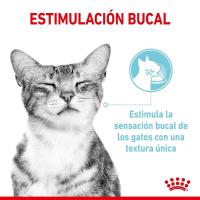 Royal Canin Sensory Feel Comida Húmeda en Salsa para Gato Adulto 12X85g - details 2