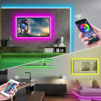 Tira De Luces LED Neón RGB 5V USB Impermeable Con Control Remoto Y App Bluetooth Para Decoración De Hogar Luz SMD Epistar 1/2/3/4/5M - details 2