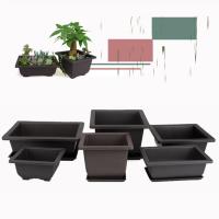 Maceta De Plástico Para Plantas De Bonsái Y Suculentas Cuadrada Moderna Para Balcón Jardín Uso En Interiores Y Exteriores - details 1