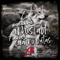 6 x 400 Gr  Alpha Spirit Comida Húmeda de Pato con Manzana Verde para Perros - details 0