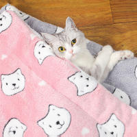 Manta De Gato Gruesa Y Transpirable Para Dormir En Invierno Manta Caliente Para Perro Pequeño Almohadilla Suave De Poliéster - details 6