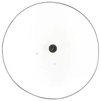 vidaXL Lámpara colgante industrial redonda 25 W negra 32 cm E27 - details 4