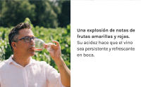 Raimat Clamor Rosé Eco - Vino Rosado - Caja 6 botellas 75cl - details 4