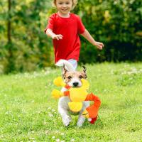 Juguete Interactivo Para Perros Peluche Squeaky Ruido De Pollo Resistente Mordida Juguete Para Bebés Accesorios Para Perros - details 6