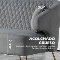 HOMCOM Sofá de 2 Plazas Tapizado en Terciopelo Sofá de Salón con 2 Almohadas Reposabrazos y Patas de Acero Doradas Sofá Pequeño Carga 240 kg para Dormitorio Oficina 124x69x76 cm Gris - details 4