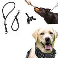 Correa De Entrenamiento Para Perros Con Collar De Deslizamiento Ajustable De Poliéster Durable Con Anillo De Ahogamiento Para Entrenamiento De Comportamiento No Asfixiante - details 2