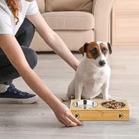 Comedero con bambú para perros y gatos edipets - details 1