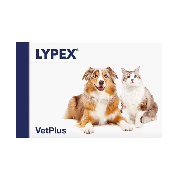 LYPEX 60 CAPSULAS - 1