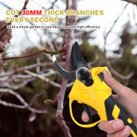 Tijera de podadora recargable con 2 destornilladores, máquina antichoque y antideslizante, bajo ruido, cuchillas profesionales afiladas y duraderas para jardinería y poda de árboles frutales - details 1