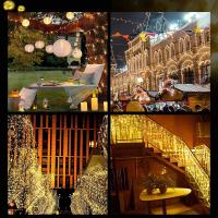 Luces De Cadena LED Para Fiestas Navidad Halloween Pascua San Valentín Eid Sin Baterías Incluidas Varias Longitudes Disponibles - details 8