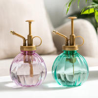 Botella De Rociador De 350ML Para Riego De Plantas Y Suculentas Herramienta Small Garden Metálica Para Jardín Y Suministros - details 2