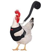 Harnés Ajustable Para Perros Pequeños Y Pollos Con Correa Cómodo Transpirable Chaleco Para Entrenamiento De Mascotas Como Pato Ganso Y Pollo - details 5