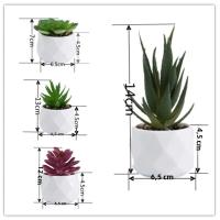 Plantas De Suculentas Artificiales Mini Bonsai Evergreen Cactus Simulación Decoración Para Interiores Plástico Inalámbrico - details 1