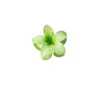 Pinza Para El Cabello De Acrílico Grande Con Diseño De Flor Gradient Para Mujeres Accesorio De Moda De Barretta Estilo Caracol Decorativo Para Fiestas Y Uso Diario - details 11
