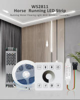 Tira De LED WS2811 Corrida De Caballos 5M 10M 15M Flujo De Agua Con Panel Táctil RF 24V 120 LEDs/m Para Decoración De Habitación - details 0