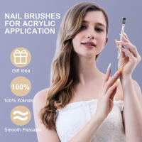 Cepillo De Uñas De Cabello Kolinsky 100 Pieza Con Mango De Metal Plata Para Manicura Y Extensión De Uñas Pincel Para Polvos De Gel Y Lámpara LED - details 3