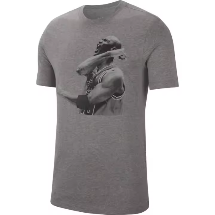 Camiseta Air Jordan Photo Graphic Grey. - 1