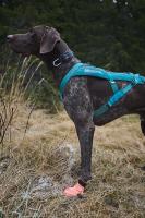 Non-stop dogwear Protector light socks Botines protectores anticorte perro - details 2