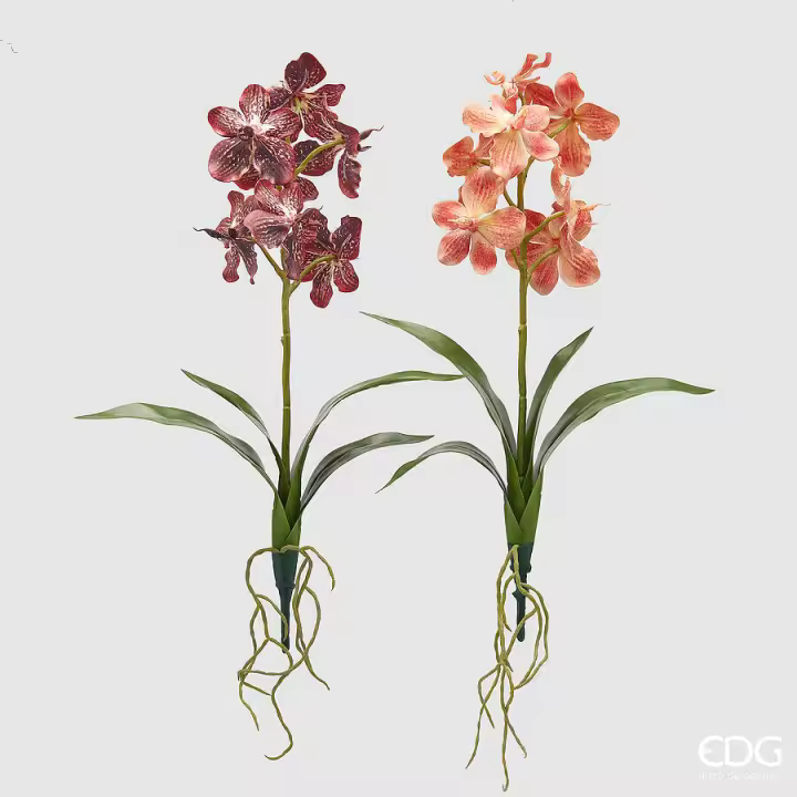 EDG Enzo De Gasperi Arbusto Orquídea Vanda Artificial con Hoja H 70 Cm Culo. Naranja Mix 1 piezas - 1
