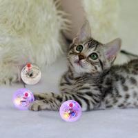 Juguete Interactivo Para Gatos Y Perros Bola Luminosa LED Transparente Activada Al Tocar Adecuada Para Perros Chicos Y Gatos Juguete Para Ejercicio Y Correr - details 2