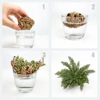 MUT22 Rosas de Jericó: Renacimiento Espiritual y Armonía en un Elegante Conjunto Floral - details 2